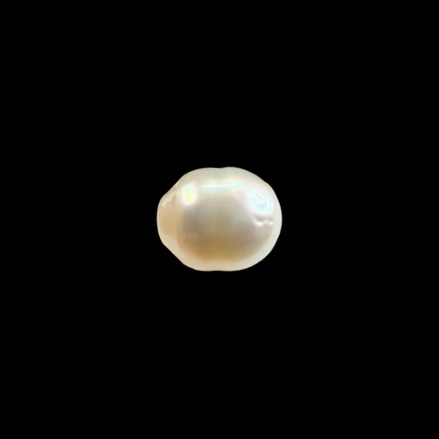 South Sea Pearl 10.97cts (31/426)