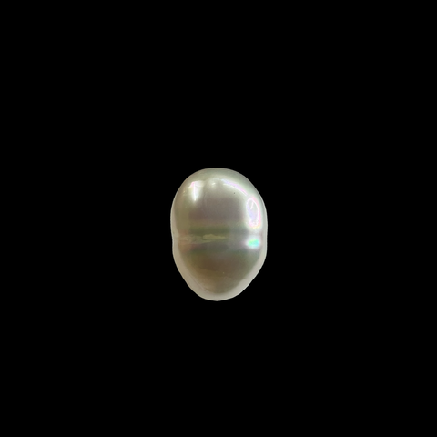 South Sea Pearl 10.65cts (31/424)