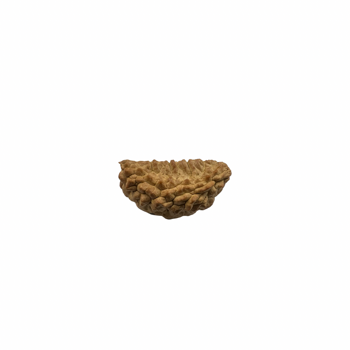 Natural Rudraksha 1mukhi